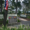 Hands Off, Political Activism 2025 Yard Sign